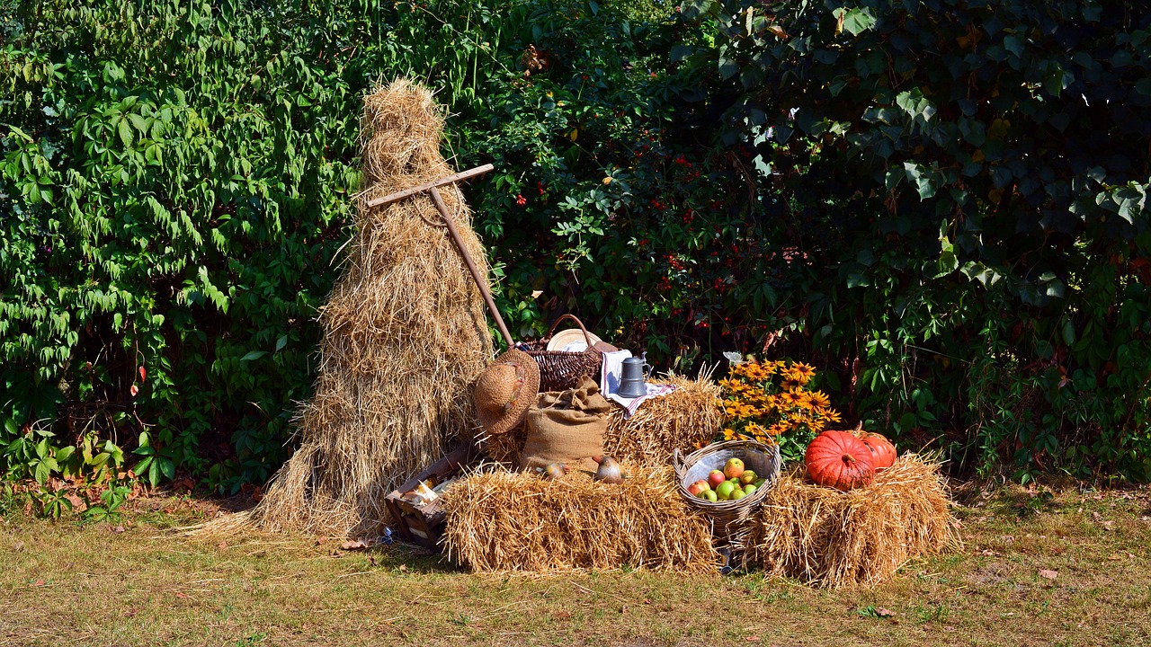 New Zealand's Hokitika Wildfoods Festival - A Taste of Adventure